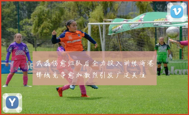 武磊伤愈归队后全力投入训练海港锋线竞争愈加激烈引发广泛关注