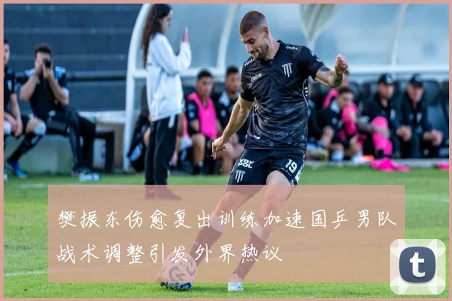 樊振东伤愈复出训练加速国乒男队战术调整引发外界热议